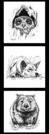 Owl Dingo Wombat Indigenous Australian Animals shown on white background animals drawn in shades of black and grey