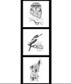 Owl Kingfisher Koala perched on tree branch Indigenous Australian Animals shown on white background animals drawn in shades of black and grey