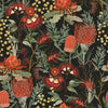 Indigenous Australian Native red yellow pink green coloured banksia's Waratah's Flowers on Black cotton  fabric DV6350 